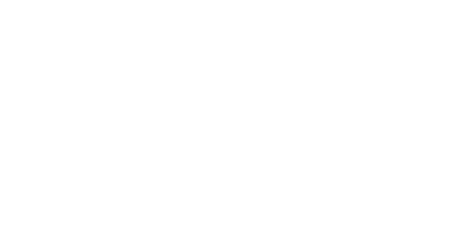 dudley metropolitan borough council header logo